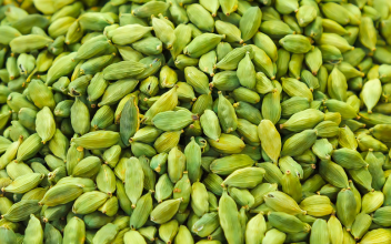 Fragrant Cardamom